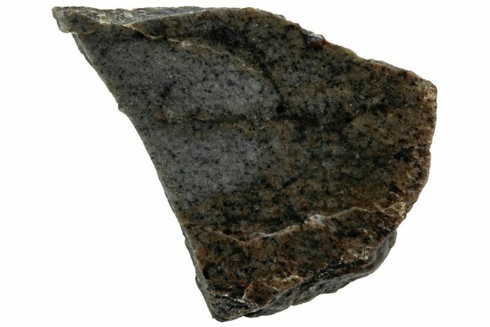 Rare, Lunar Basaltic Breccia Meteorite ( g) Slice - NWA #308440